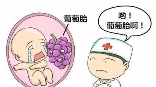 北大深圳医院试管婴儿费用 深圳做三代试管婴儿怎么样 ‘胎囊2.8*1.9胎芽1.5能看