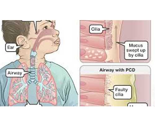 邯郸供卵试管医院排名 2023年邯郸哪个医院能做试管婴儿? ‘五个月b超两腿间是