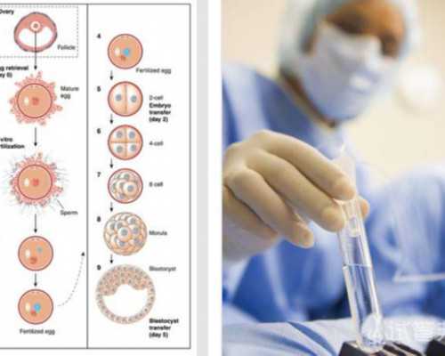 重庆供卵试管生男孩公司 重庆三代试管婴儿包生男孩医院排名，附试管生男孩