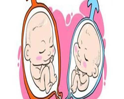 深圳哪家医院可以做供卵试管?,深圳供卵试管婴儿单周费用明细一览，2024借卵试