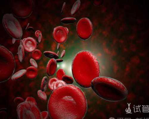 成都哪里可以做供卵试管 成都做试管婴儿多少钱 ‘网传的孕囊大小看男女对照