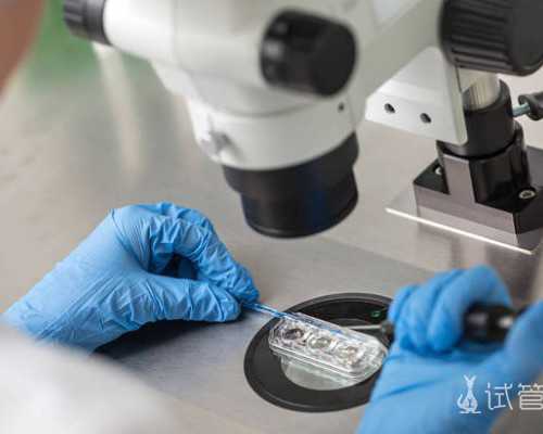 昆凌备孕二胎遭遇多囊拦路？多囊患者该如何调理才能更易好孕？