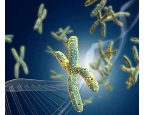 如何养成节奏型球员的性格