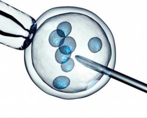 备孕期间，怎么调节心态比较好？