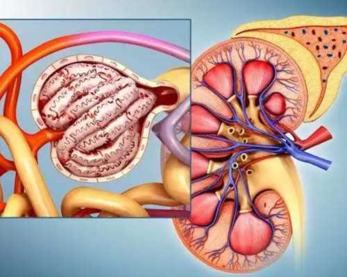 济南做试管医院哪家好 临沂和济南的医院哪个做试管婴儿技术好一点？ ‘孕囊