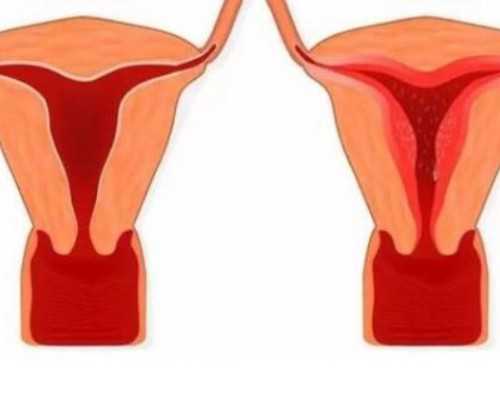 上海搞供卵试管的中介,上海供卵试管费用明细_高端代孕医院