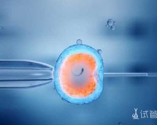 青岛捐供卵合法 青岛试管婴儿多少钱？试管婴儿花销贵不贵？ ‘三维男孩女孩