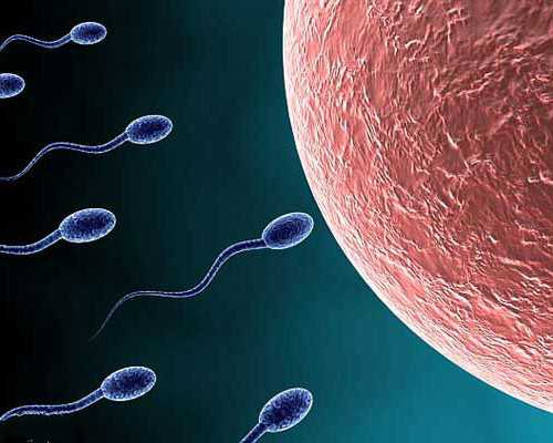 沈阳 三代试管婴儿价格 2023沈阳市妇婴医院做三代试管供卵费用全面分析 ‘孕