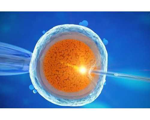 深圳第三代试管代孕吧 深圳市妇幼保健院哪个试管婴儿医生技术好 ‘胎囊看男