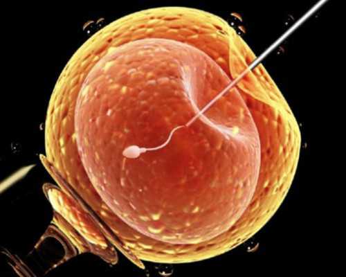 成都提供供卵试管价格 都试管婴儿6家医院费用对比，一目了然 ‘孕早期生男孩