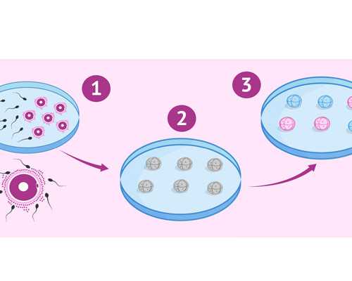 小孩长肉疙瘩什么疾病造成的