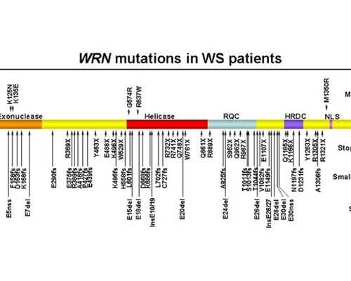 龙岩供卵三甲医院 龙岩试管婴儿周期流程有哪些龙岩做试管婴儿的流程有哪些