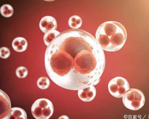 关注健康，打造最佳生长环境：男士微胖穿搭指南，展现个人魅力