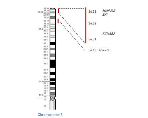 深圳供卵试管可以包成功吗,深圳供卵试管婴儿单周费用明细一览，2024借卵试管