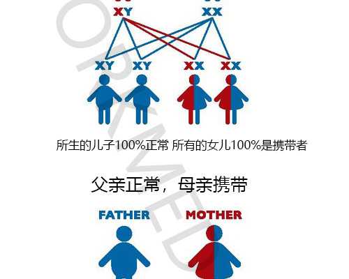 北京供卵试管婴儿医院排名,北京哪个医院供卵，国内做试管的医院排名如何？