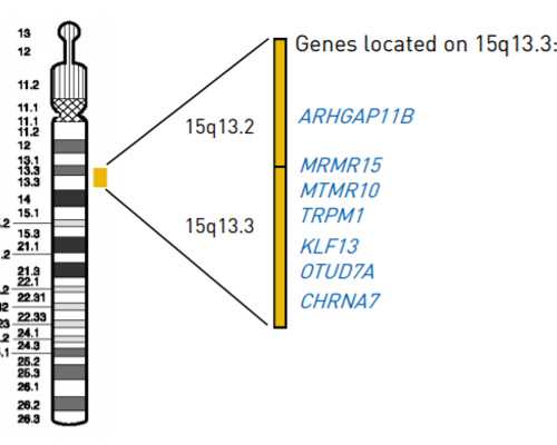 重庆试管代生费用多少钱 2024重庆市试管婴儿医院费用一览表，附试管助孕费用