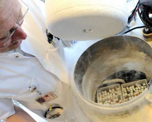 深圳哪家医院可以做供卵试管?,深圳供卵试管婴儿单周费用明细一览，2024借卵试