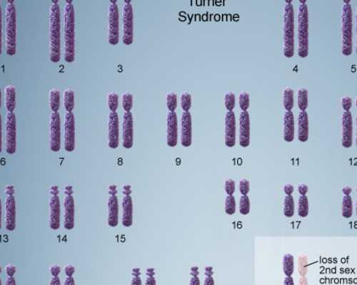哪些因素引起的难孕育可以做东莞助孕试管婴儿？