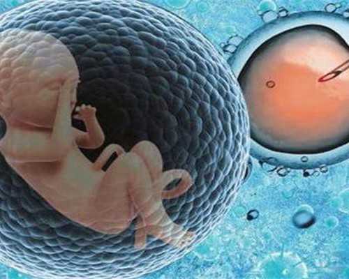 重庆借卵试管私立机构 2023重庆市试管婴儿医院费用一览表，附试管助孕费用花