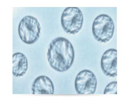 邵阳试管婴儿医院哪家最好 邵阳妇幼保健院做试管婴儿的成功率 ‘13周的男孩