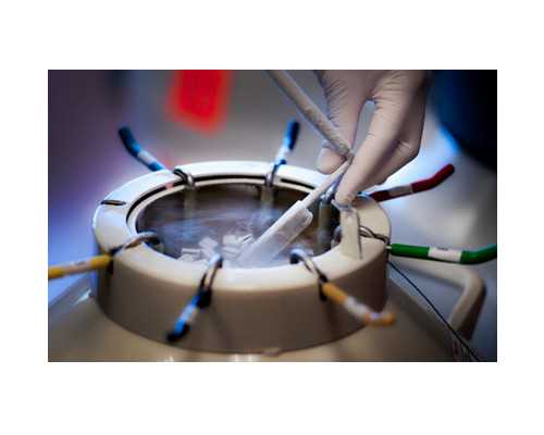 北京哪些军区总院能做第三代供卵试管婴儿？,北京能做供卵试管婴儿的十大私