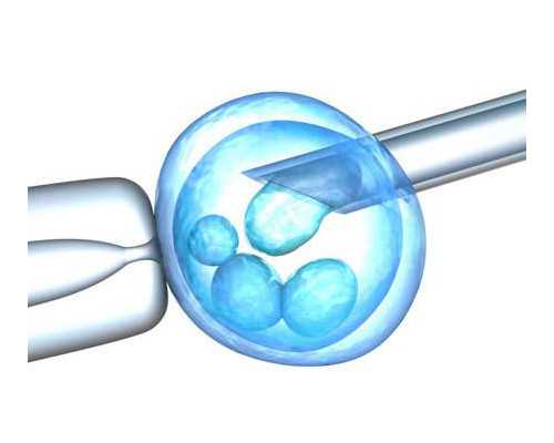 孕期为什么要补充叶酸