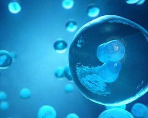 2024河南助孕 河南省人民医院试管婴儿花费明细表试管婴儿有哪些花销？ ‘怀孕