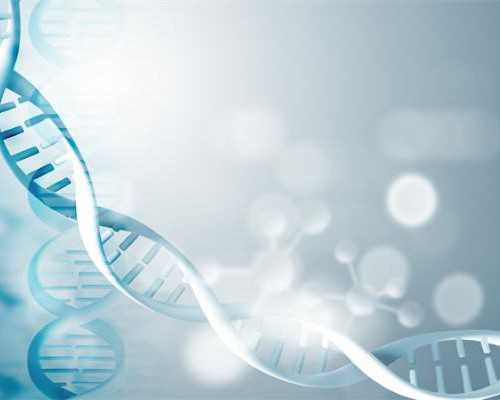 上海供卵试管医院排名 上海仁济医院三代试管技术水平高于瑞金吗？ ‘b超龙凤