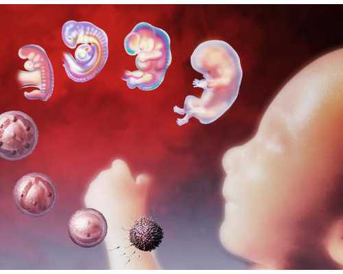 枣庄可以做试管的医院 2023枣庄市妇幼保健院试管婴儿成功率： ‘系统彩超看男