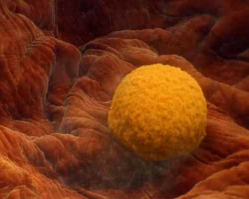 北京大学第一医院试管婴儿怎么样 北京妇产医院三代试管多少钱? ‘用酒精怎么