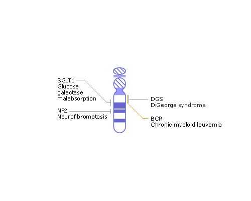 13价疫苗第三针反应大怎么办