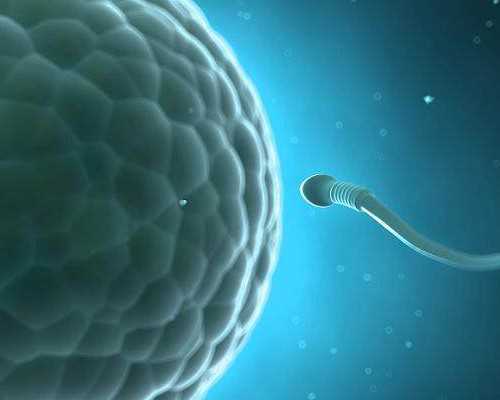 长沙哪里做供卵试管不用等？,长沙民间供卵试管机构排名哪家强？附供卵试管