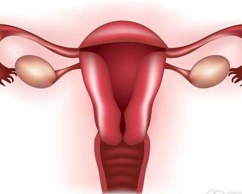 广州做供卵试管被骗的全过程,广东三代试管婴儿：广州供卵试管机构怎么联系