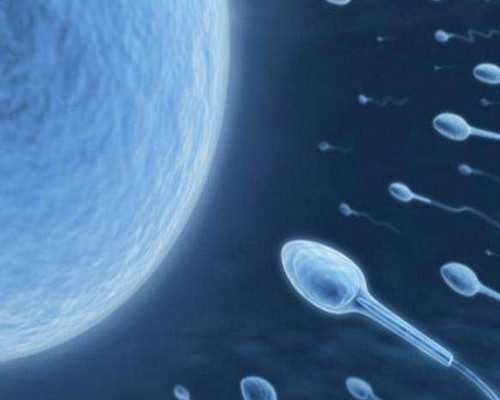 佛山市第一人民试管婴儿如何？全程技术做保障