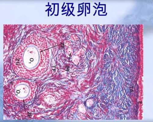 不是所有孕妇都可以剖腹产，只有符合特定医学指征才行