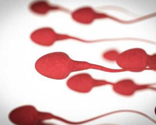 最新的二胎产假规定是什么？