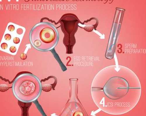 深圳供卵试管婴儿医院有哪些？,深圳供卵试管婴儿单周费用明细一览，2024借卵