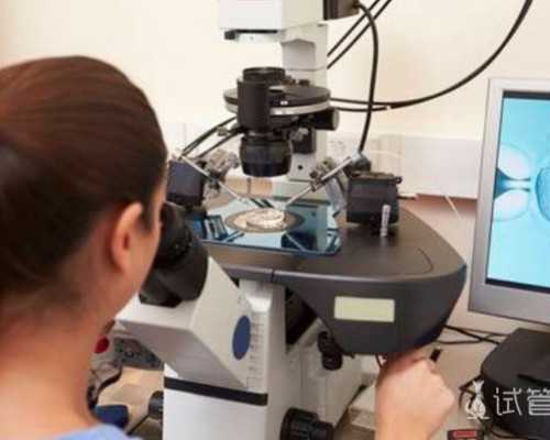 深圳哪家医院可以做供卵试管?,深圳供卵试管婴儿单周费用明细一览，2024借卵试