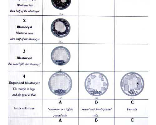备孕吃普通的维生素可以吗