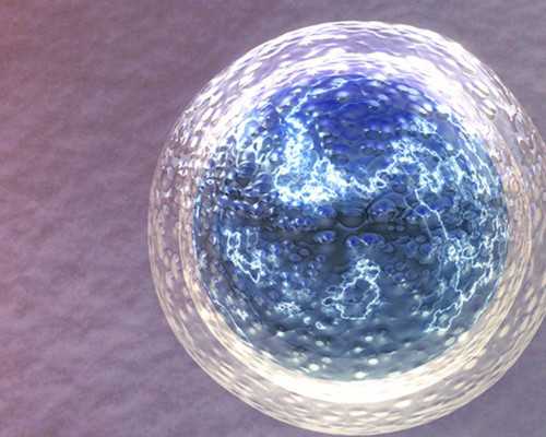 连云港三院做试管成功率 2023连云港妇幼保健院试管婴儿成功率： ‘七个月做