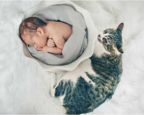 长治和平医院试管婴儿成功率 2023公开：长治和平医院做试管婴儿需要多少钱