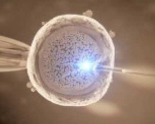 2024广州供卵试管婴儿费用清单如下：,广东三代试管婴儿：广州供卵试管机构怎