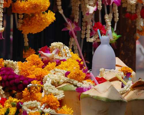 孕妇食用胡萝卜：禁忌、营养影响、首选食物及正确方法